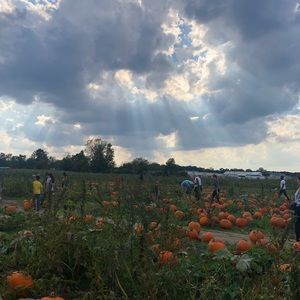 Meet your Posher, Shirley